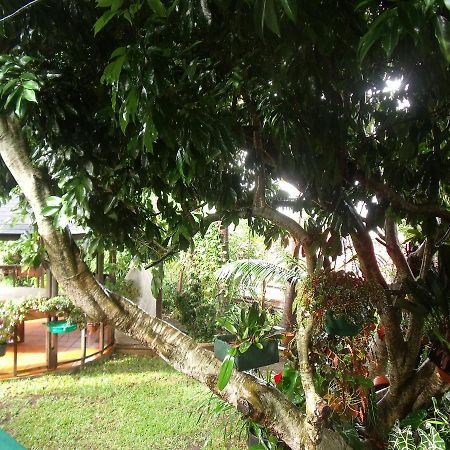 Villa Les Agapanthes Le Tampon Esterno foto