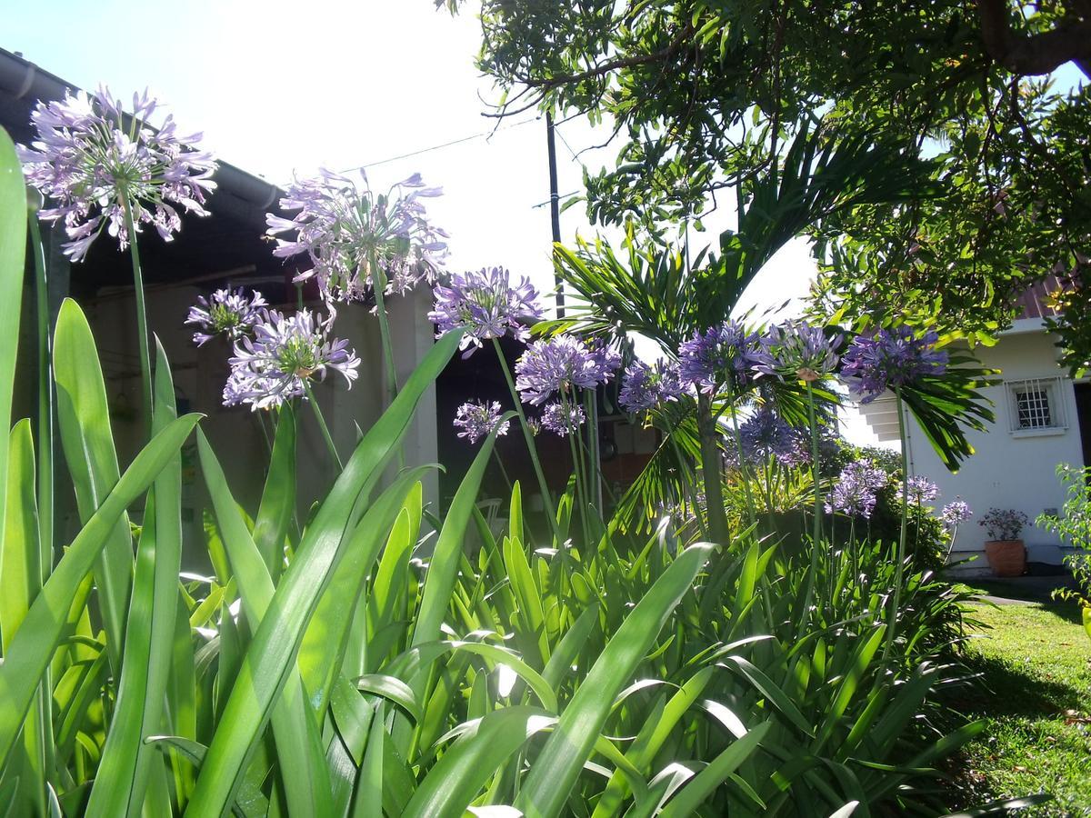 Villa Les Agapanthes Le Tampon Esterno foto