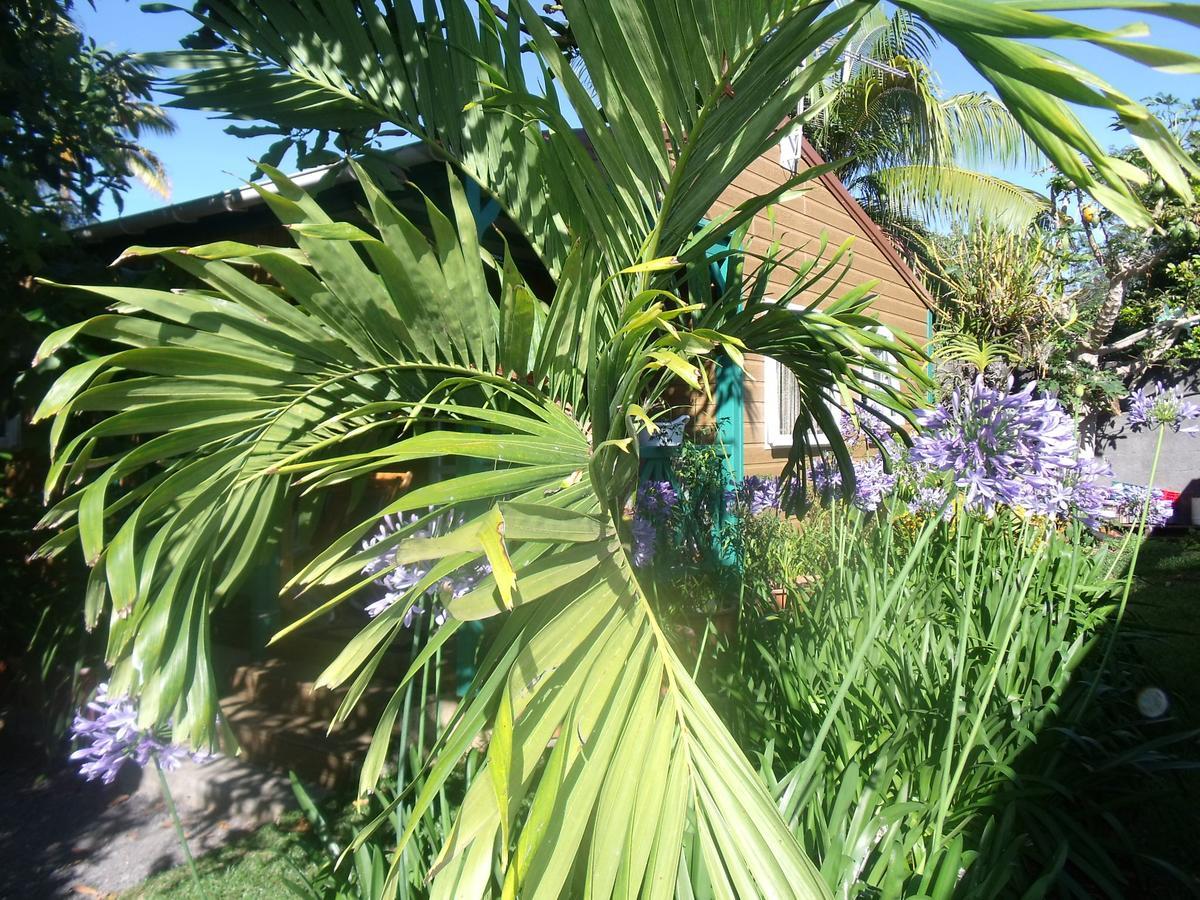 Villa Les Agapanthes Le Tampon Esterno foto