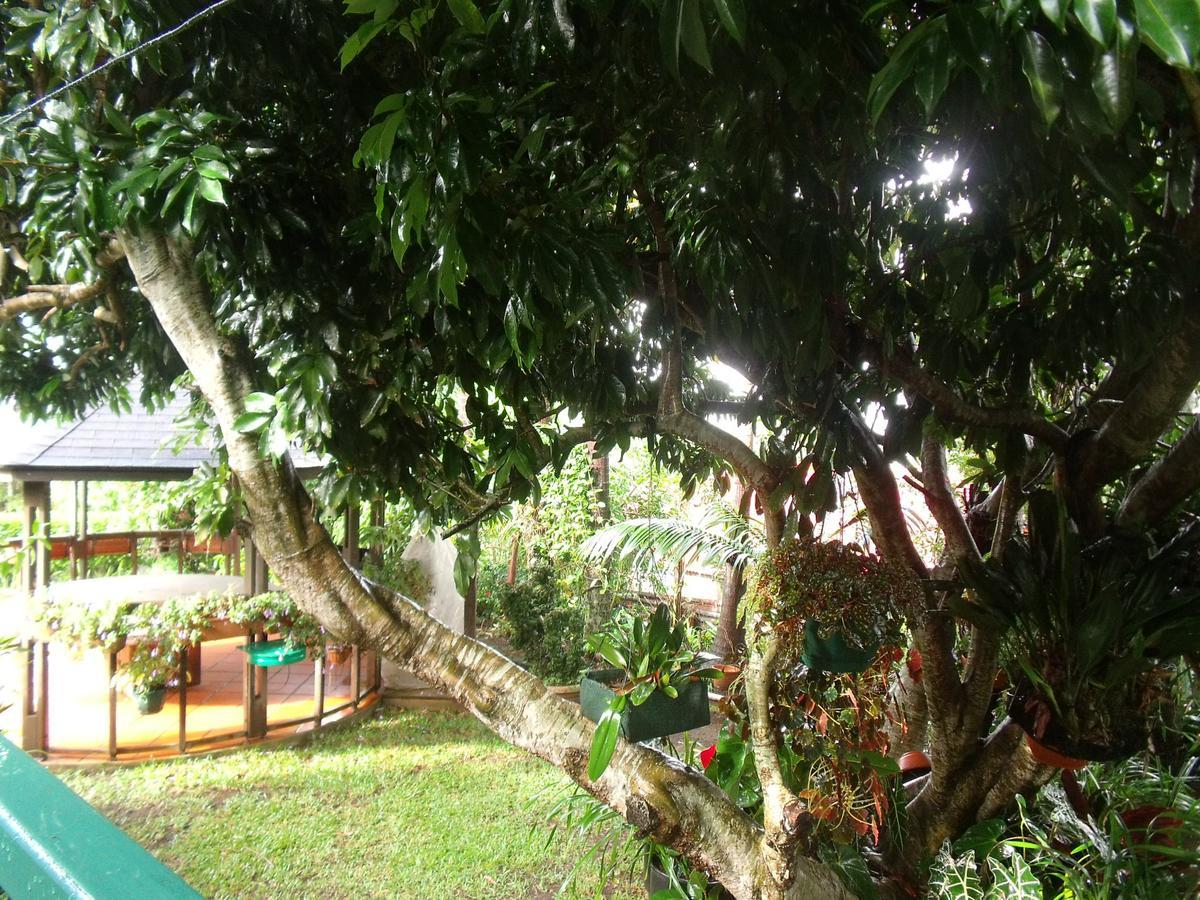 Villa Les Agapanthes Le Tampon Esterno foto